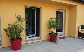 Maison D'Hotes Le Cep D'Or Alsace